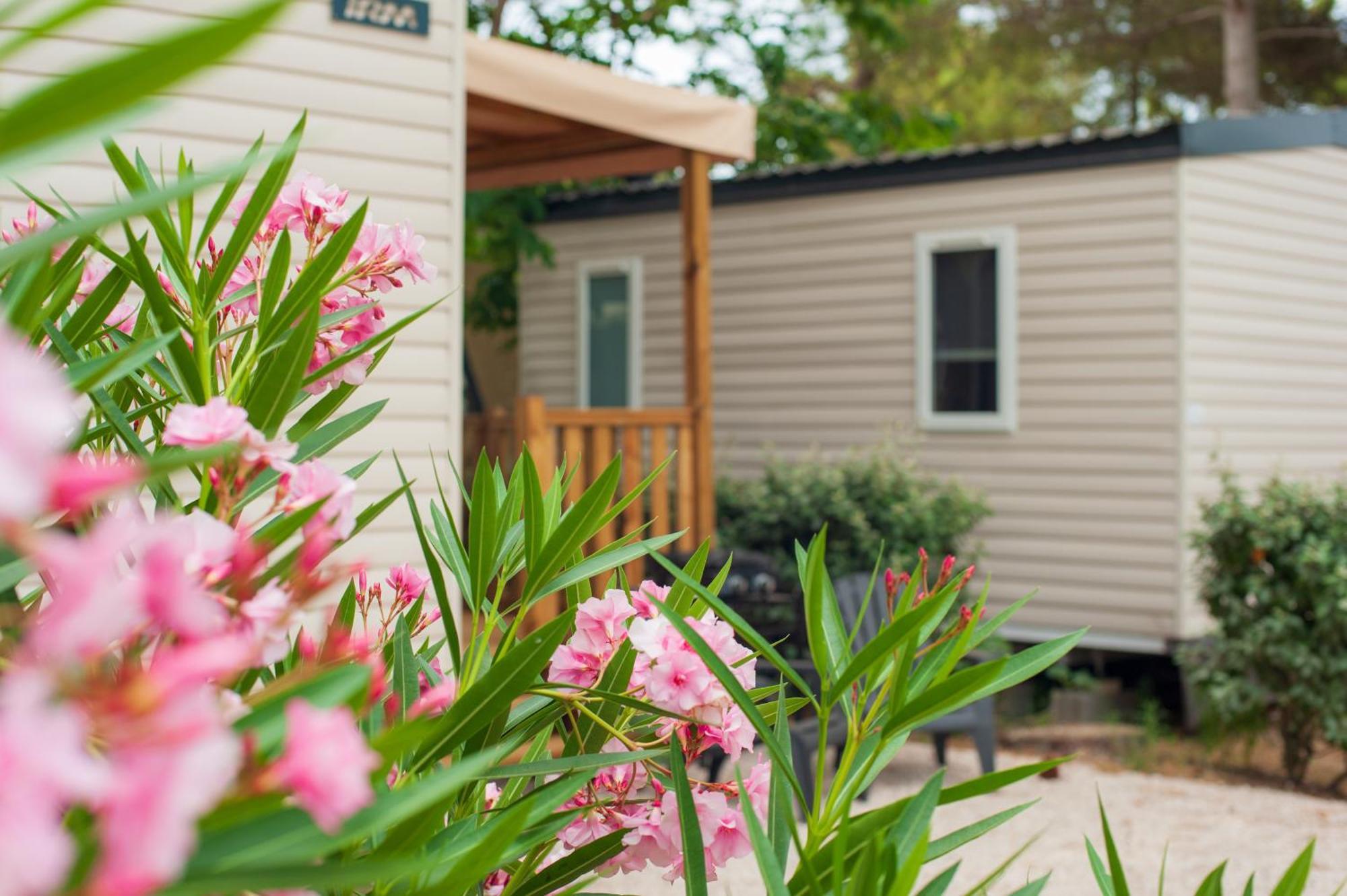 Camping Les Jardins D Agathe Le Grau-dʼAgde Buitenkant foto