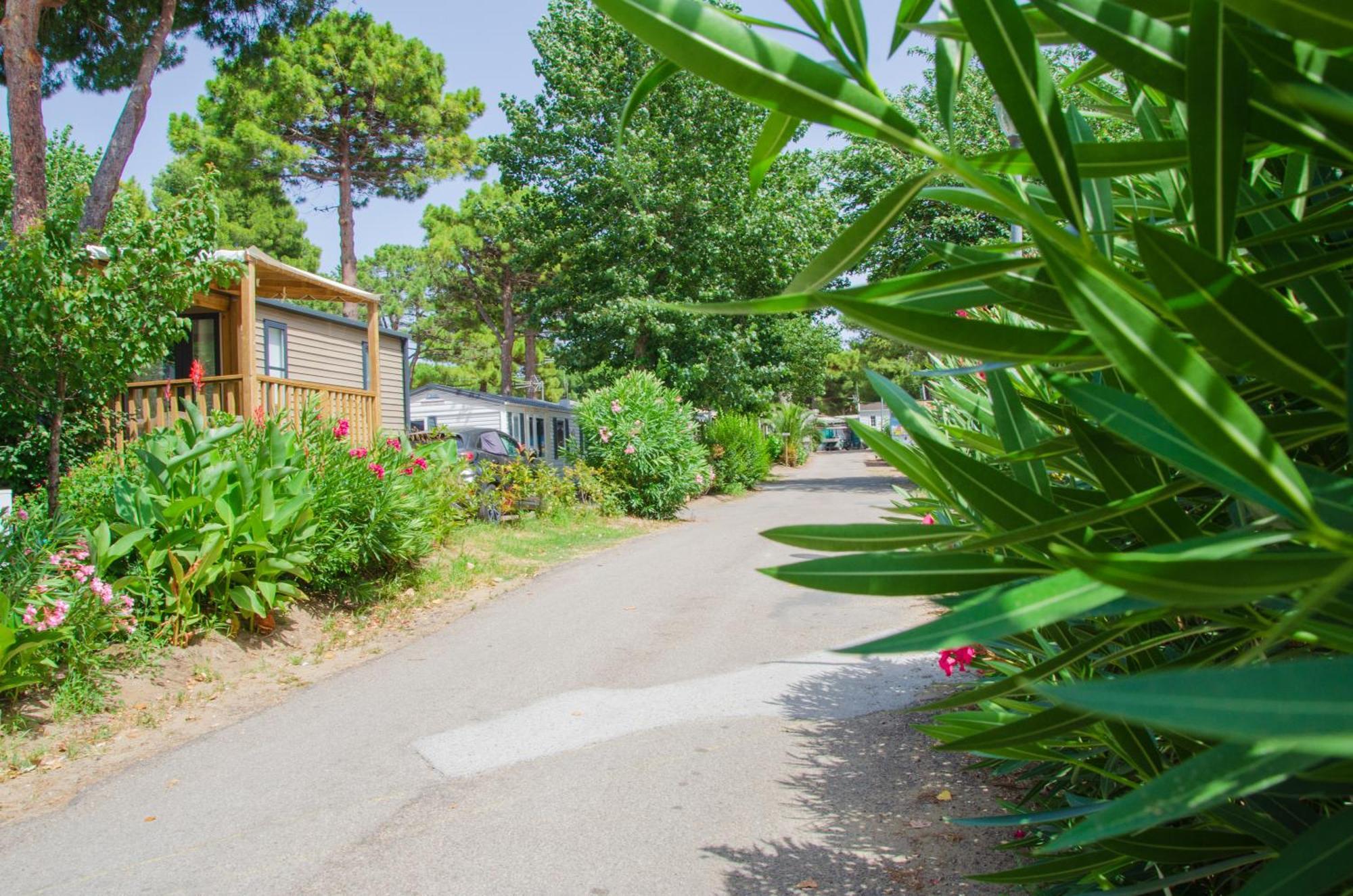 Camping Les Jardins D Agathe Le Grau-dʼAgde Buitenkant foto