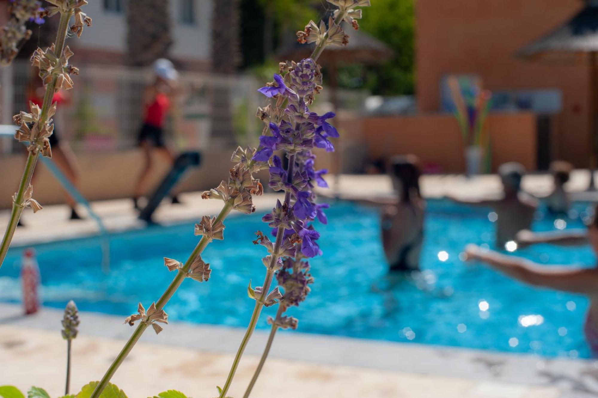 Camping Les Jardins D Agathe Le Grau-dʼAgde Buitenkant foto