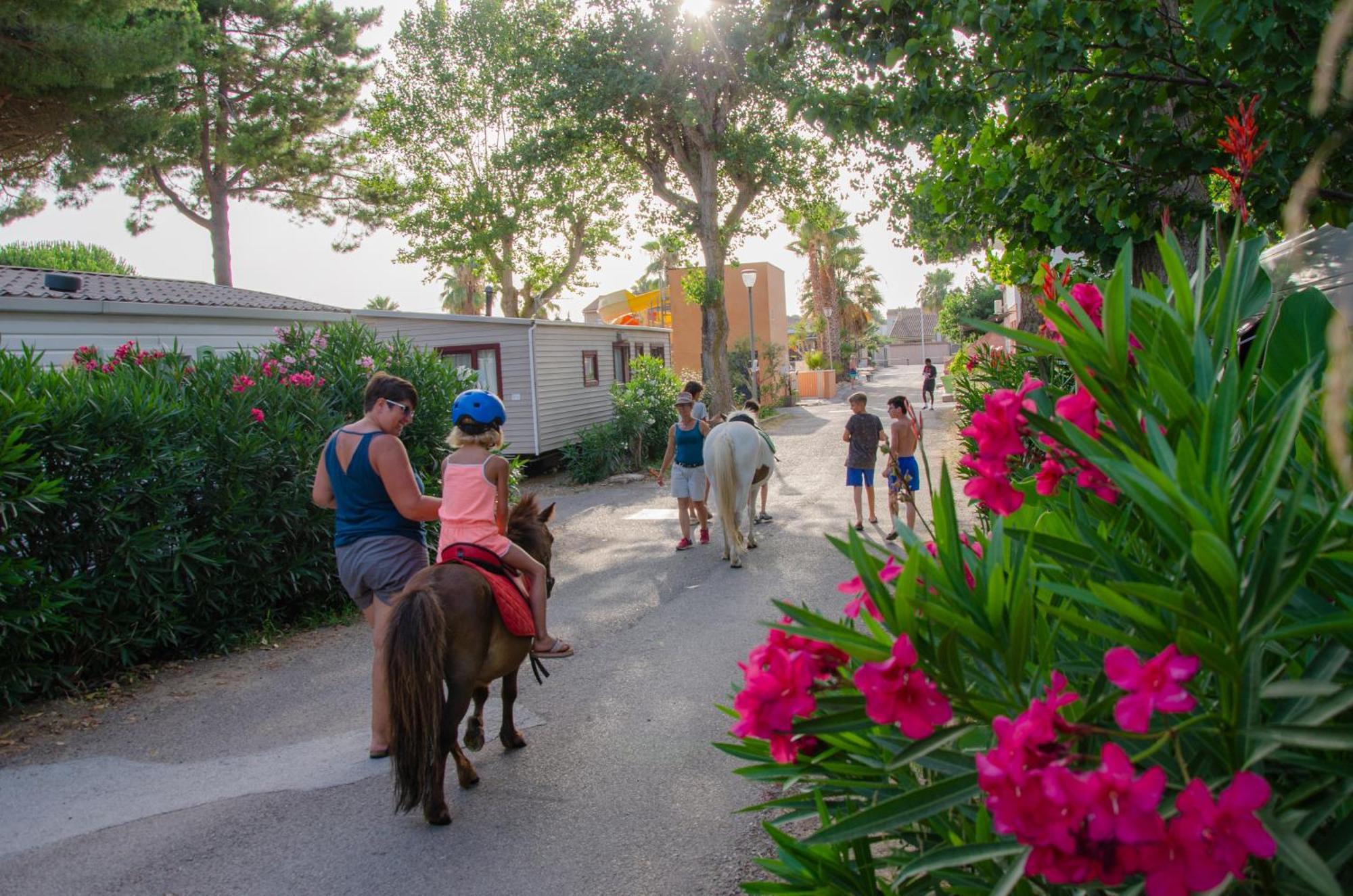 Camping Les Jardins D Agathe Le Grau-dʼAgde Buitenkant foto